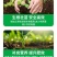 进口硅钙镁降盐调酸消绿苔松土生根补土壤调理剂中量元素水溶