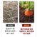 进口硅钙镁降盐调酸消绿苔松土生根补土壤调理剂中量元素水溶