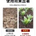进口硅钙镁降盐调酸消绿苔松土生根补土壤调理剂中量元素水溶