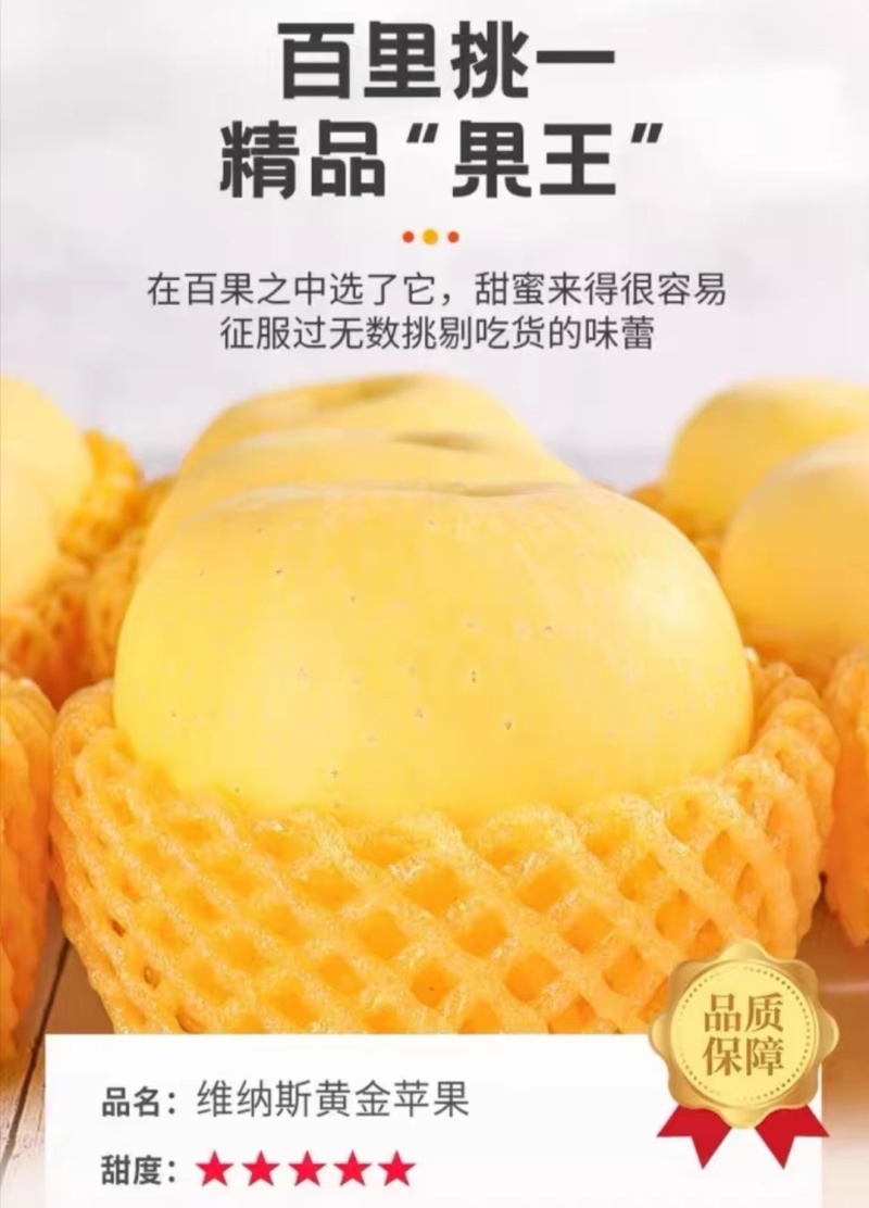 [电商代发]正宗山东维纳斯黄金苹果新鲜富士丑苹果冰糖心