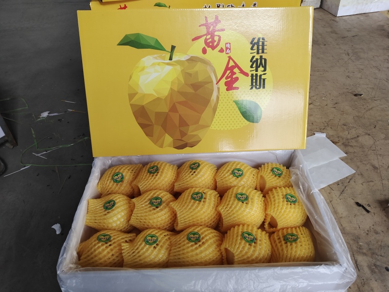 [电商代发]正宗山东维纳斯黄金苹果新鲜富士丑苹果冰糖心