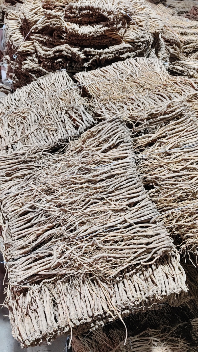 甘肃白条党参药厂货。