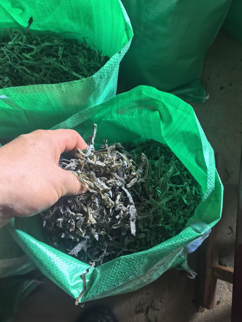【热卖】烘干，海带片，海带块厂家直销量大质优价格优惠