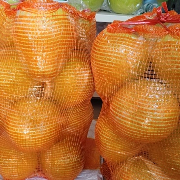江永香柚