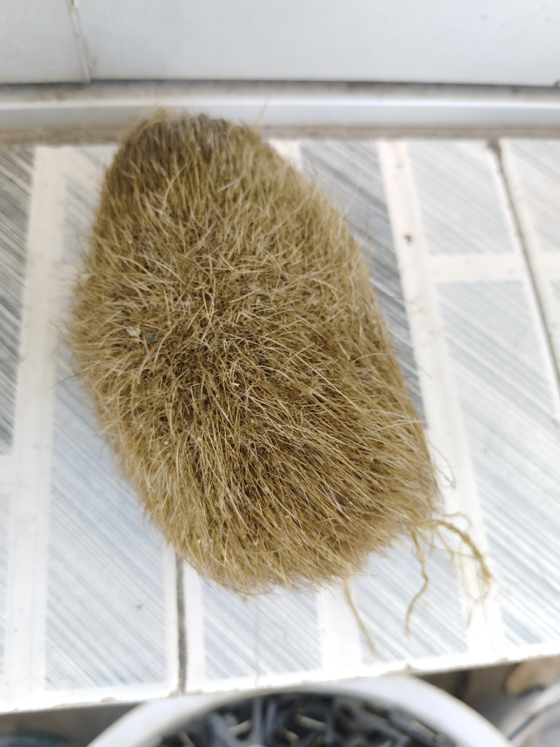 猪沙
