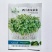 水培西兰花芽苗菜种子四季种植水培西兰花芽苗菜种籽无土栽培
