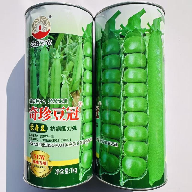 台湾绿翡翠长寿仁豌豆种子结荚多大颗粒饱满大田基地种植高产