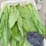 油麦菜