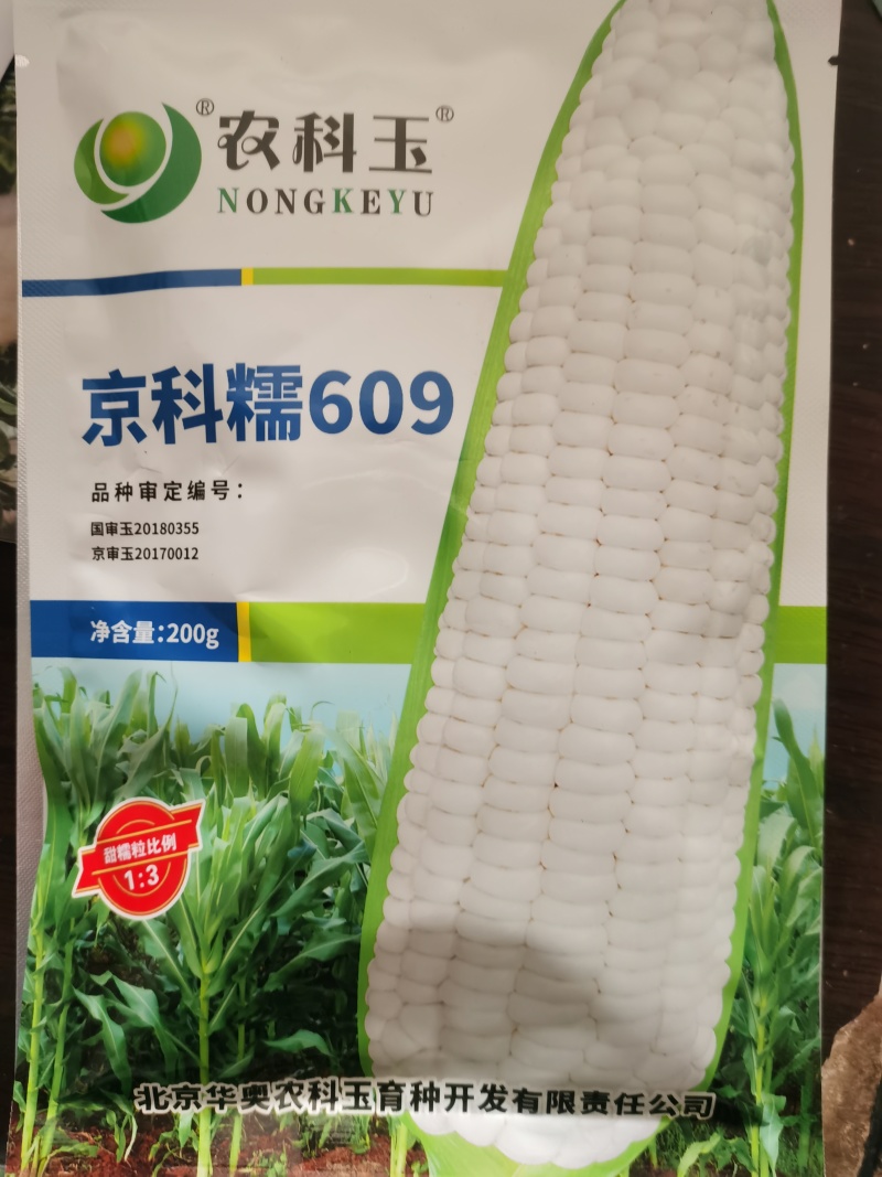 国审京科糯2000E甜味糯京科糯609甜加糯玉米