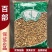 百部中药材白部新货无硫熏保质保量诚信经营大货供应