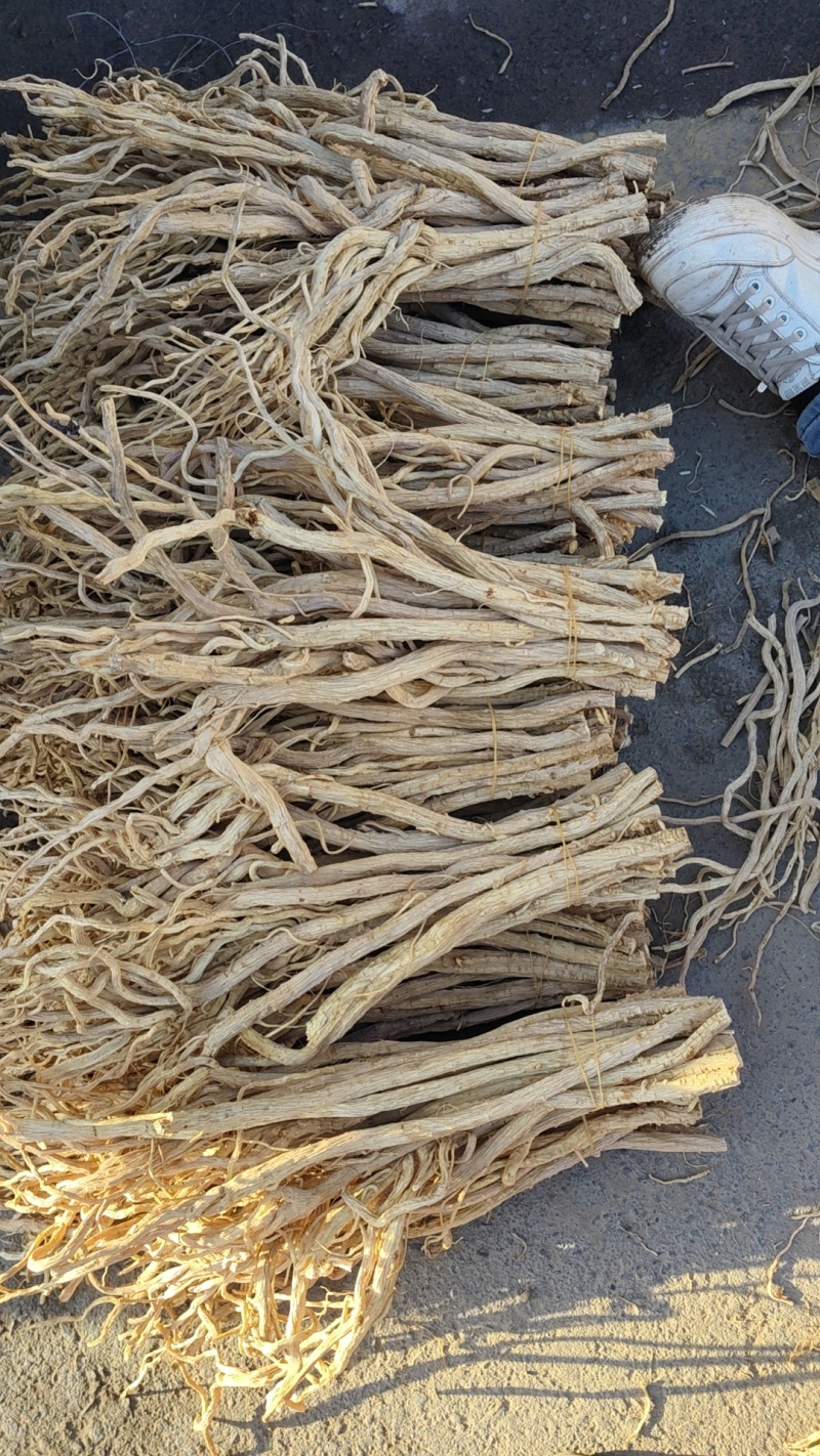 关防风白皮货。胡萝卜味
