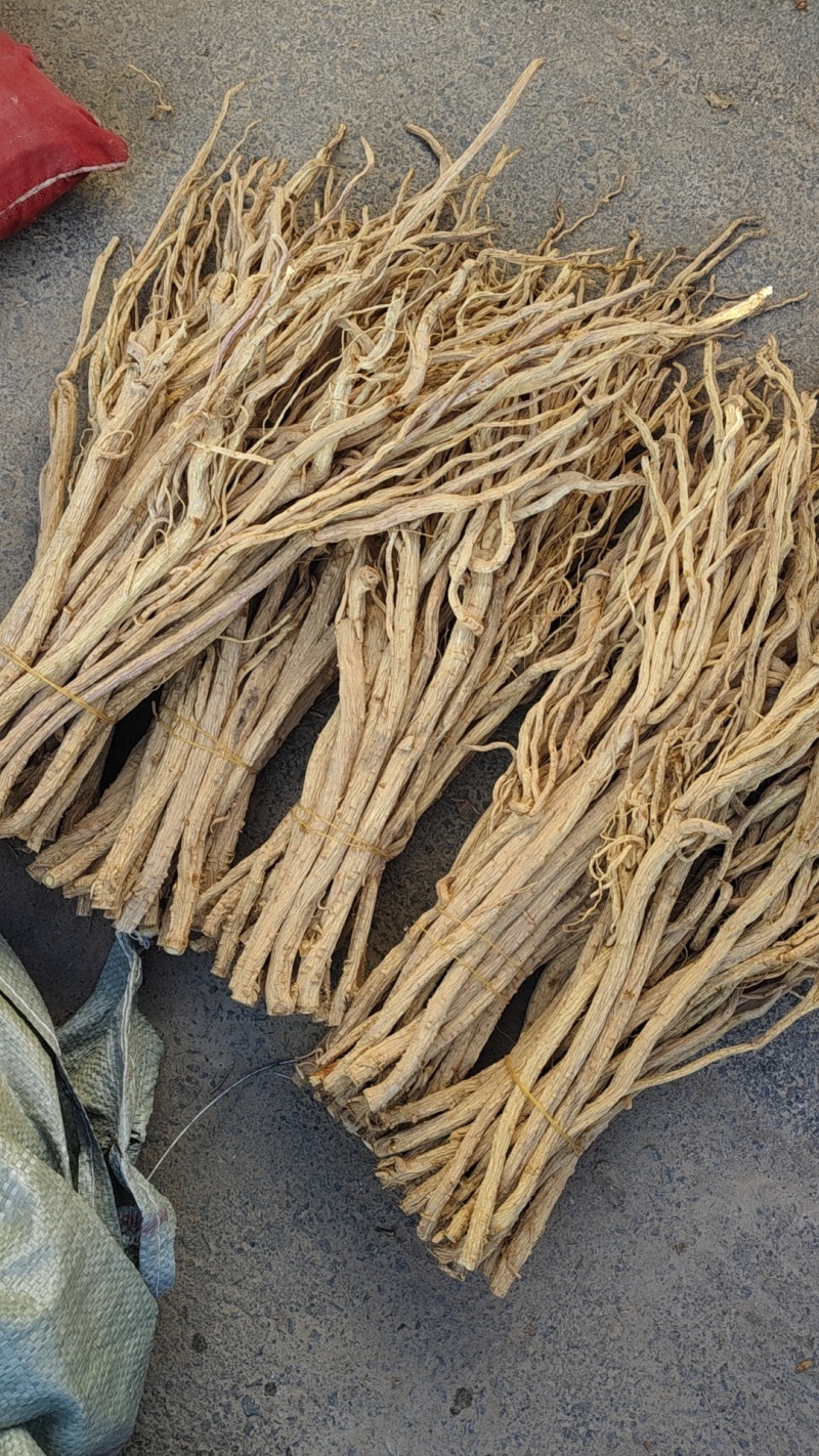 关防风白皮货。胡萝卜味
