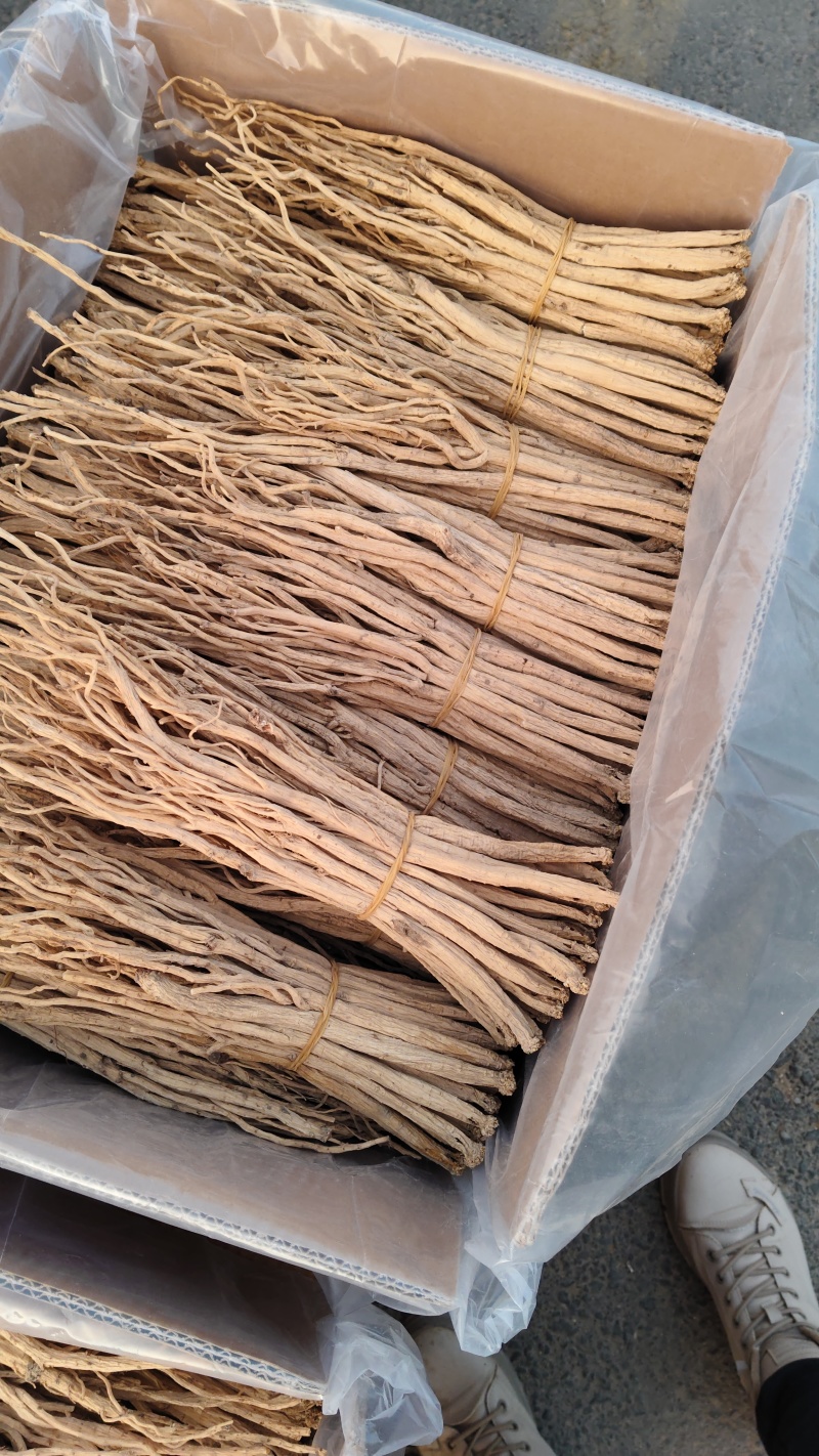关防风白皮货。胡萝卜味