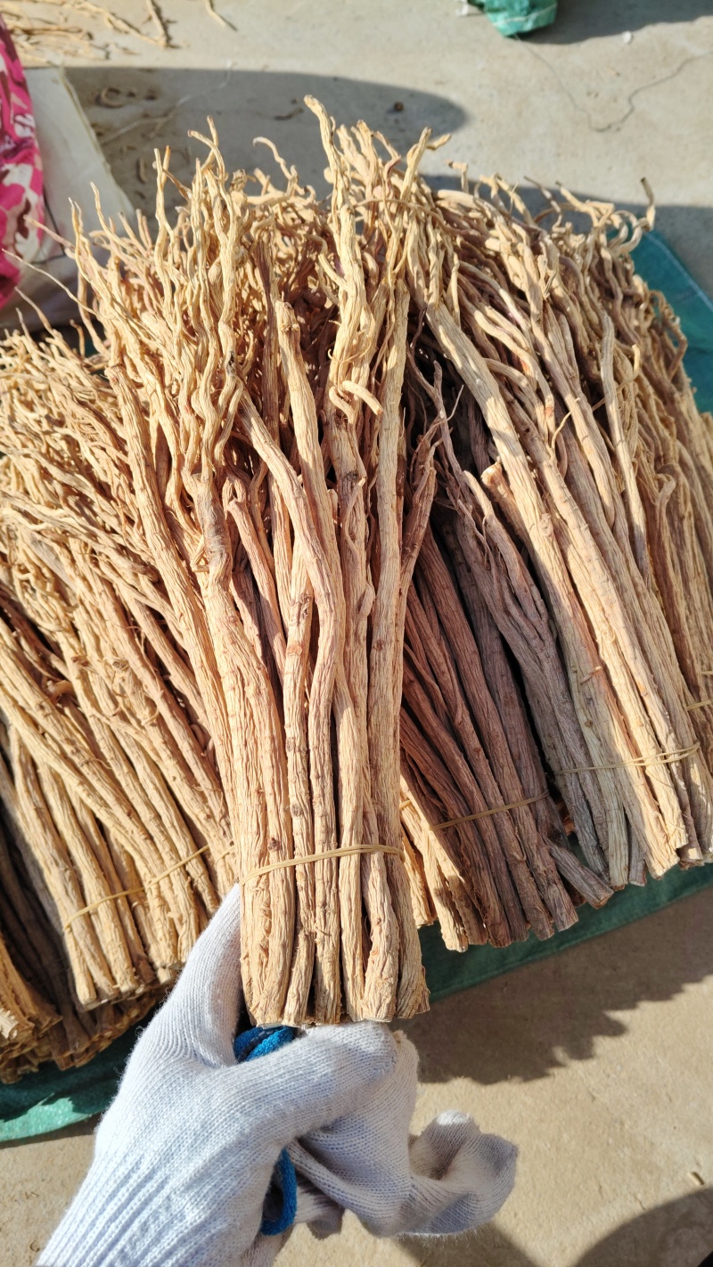 关防风白皮货。胡萝卜味