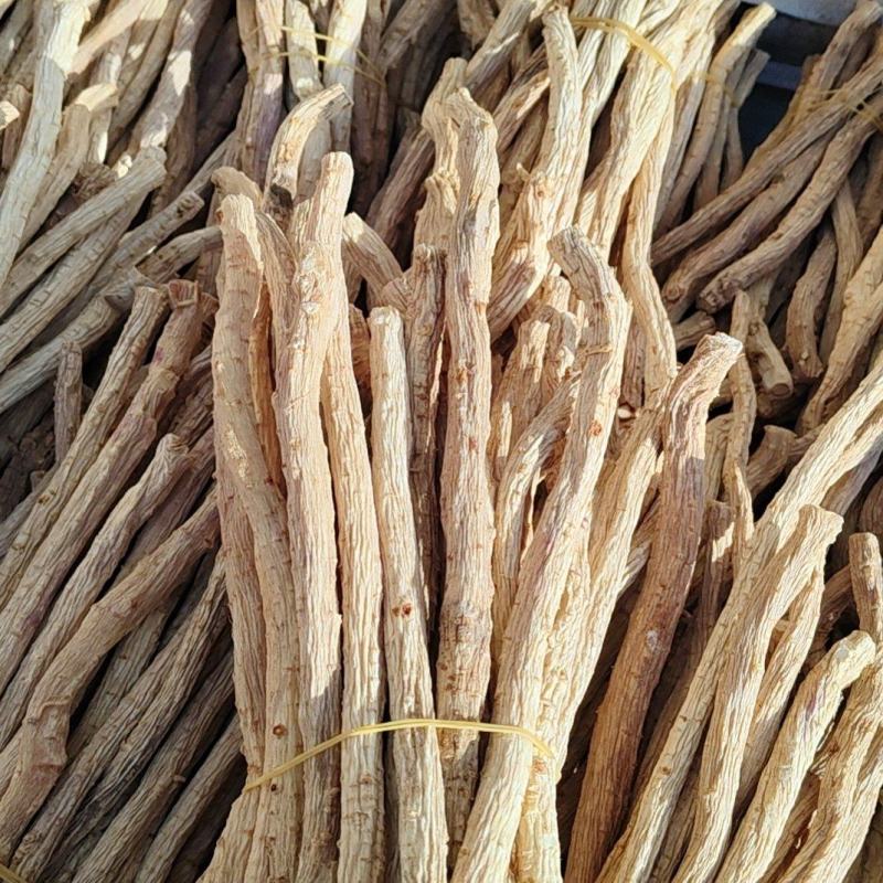 关防风白皮货。去头剪尾。0.8以上的节子