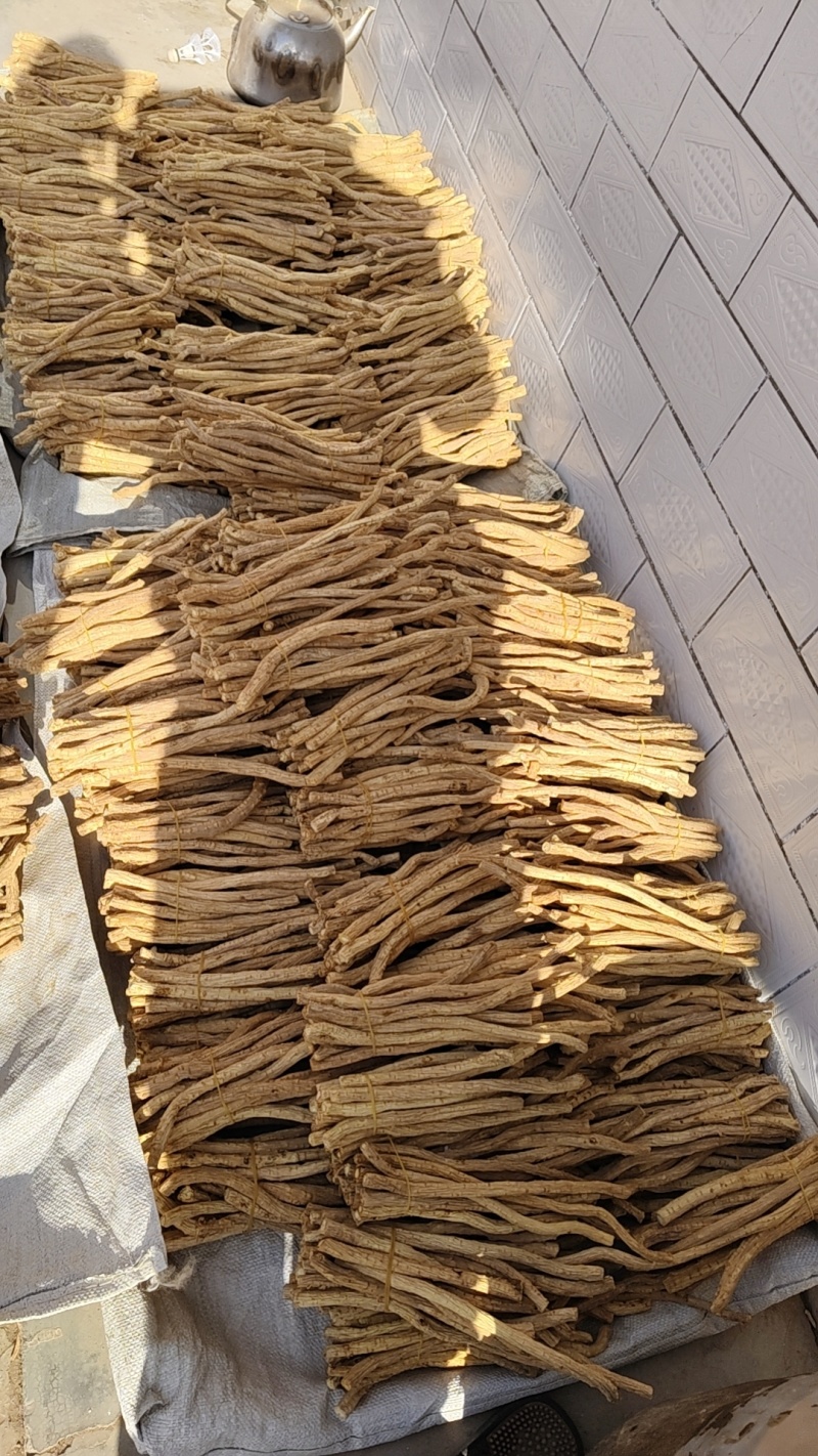 关防风白皮货。去头剪尾。0.8以上的节子