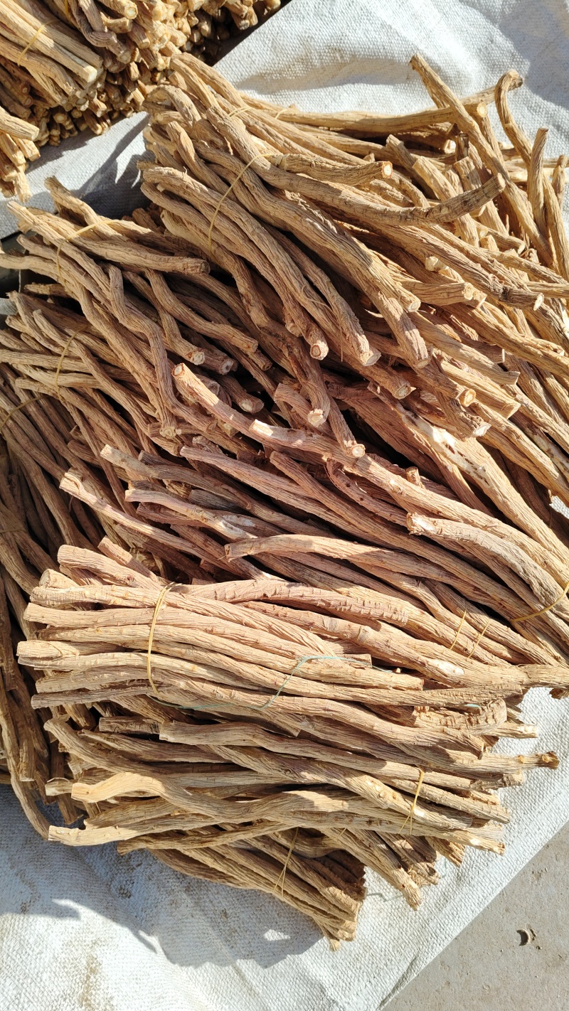 关防风白皮货。去头剪尾。0.8以上的节子