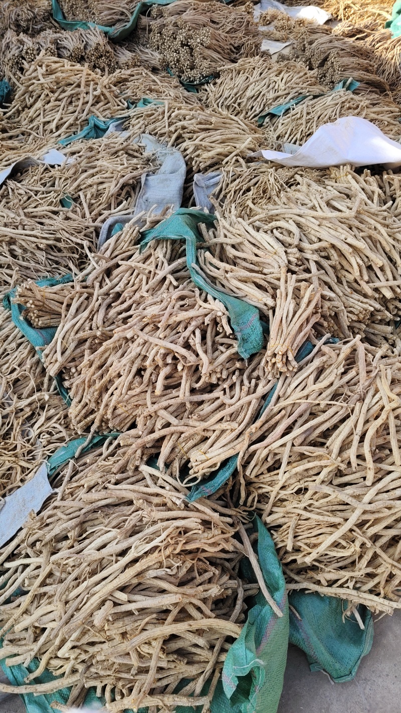 关防风白皮货。去头剪尾。0.8以上的节子