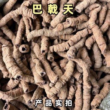 巴戟天中药材批发巴戟天片泡茶巴戟天粉巴戟鸡肠风巴戟肉