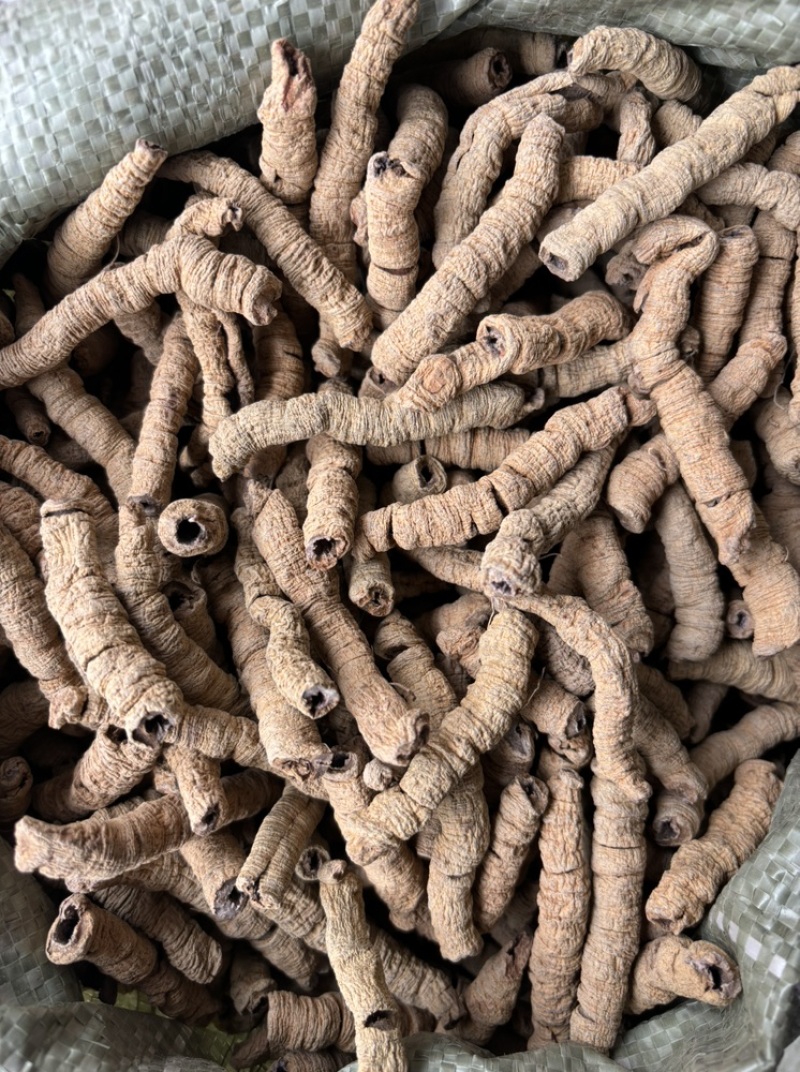 巴戟天中药材批发巴戟天片泡茶巴戟天粉巴戟鸡肠风巴戟肉