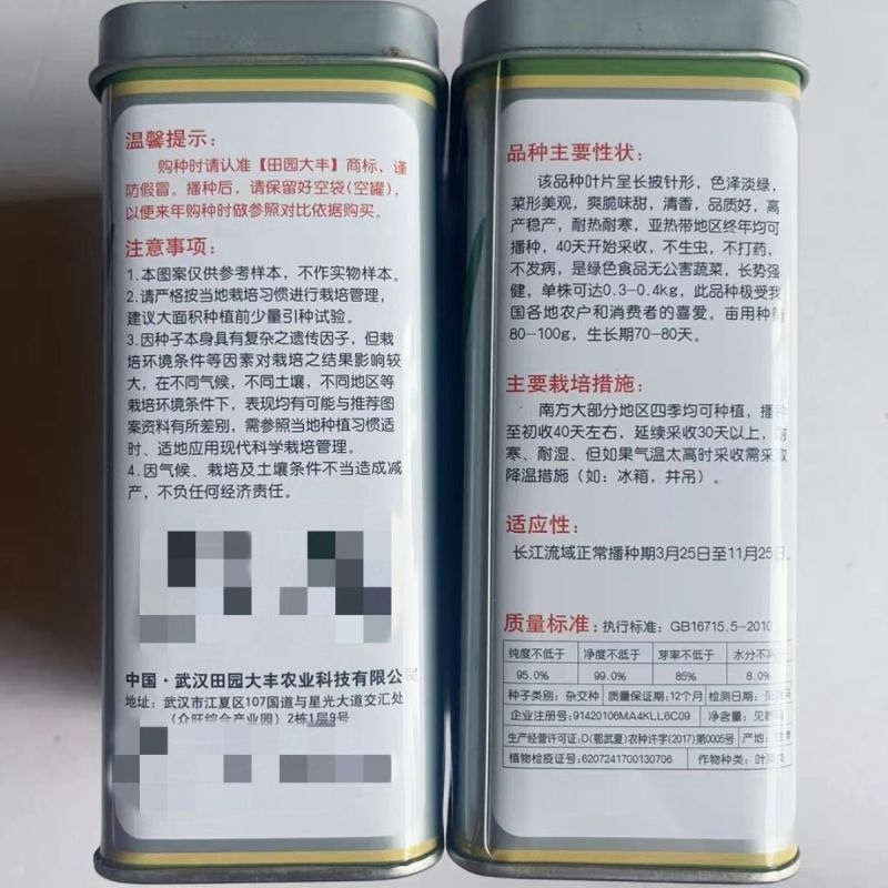 油麦菜种籽大棵直立脆甜油麦菜种子基地专用种籽农家菜园蔬菜