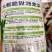 油麦菜种籽大棵直立脆甜油麦菜种子基地专用种籽农家菜园蔬菜