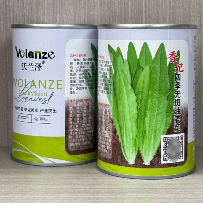 油麦菜种籽大棵直立脆甜油麦菜种子基地专用种籽农家菜园蔬菜