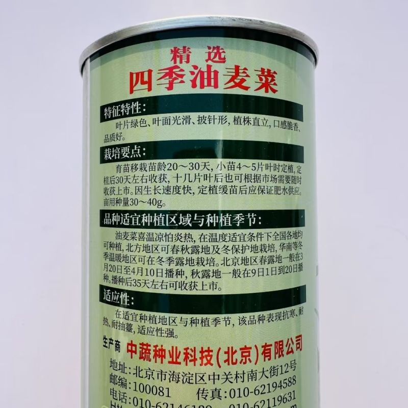 油麦菜种籽大棵直立脆甜油麦菜种子基地专用种籽农家菜园蔬菜