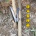 木薯神器快速棉花省力简单烟杆手动农具辣椒农作物农用工
