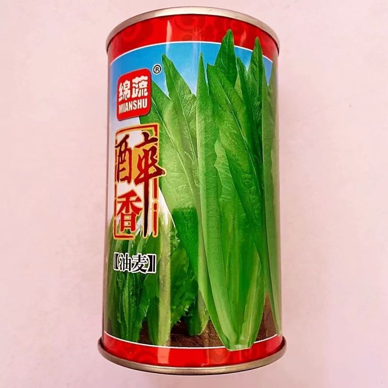 油麦菜种籽大棵直立脆甜油麦菜种子基地专用种籽农家菜园蔬菜