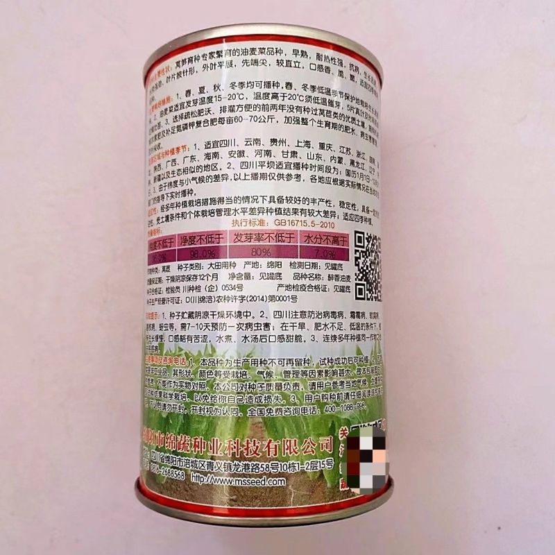 油麦菜种籽大棵直立脆甜油麦菜种子基地专用种籽农家菜园蔬菜