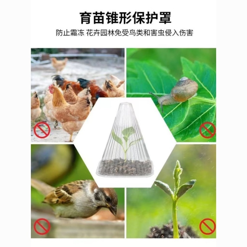 1000个装批发加大号加厚育苗保护罩户外蔬菜免受鸟虫