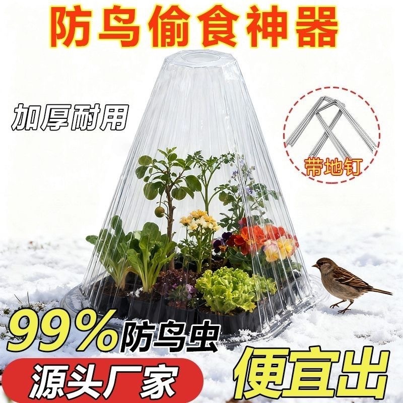 1000个装批发加大号加厚育苗保护罩户外蔬菜免受鸟虫