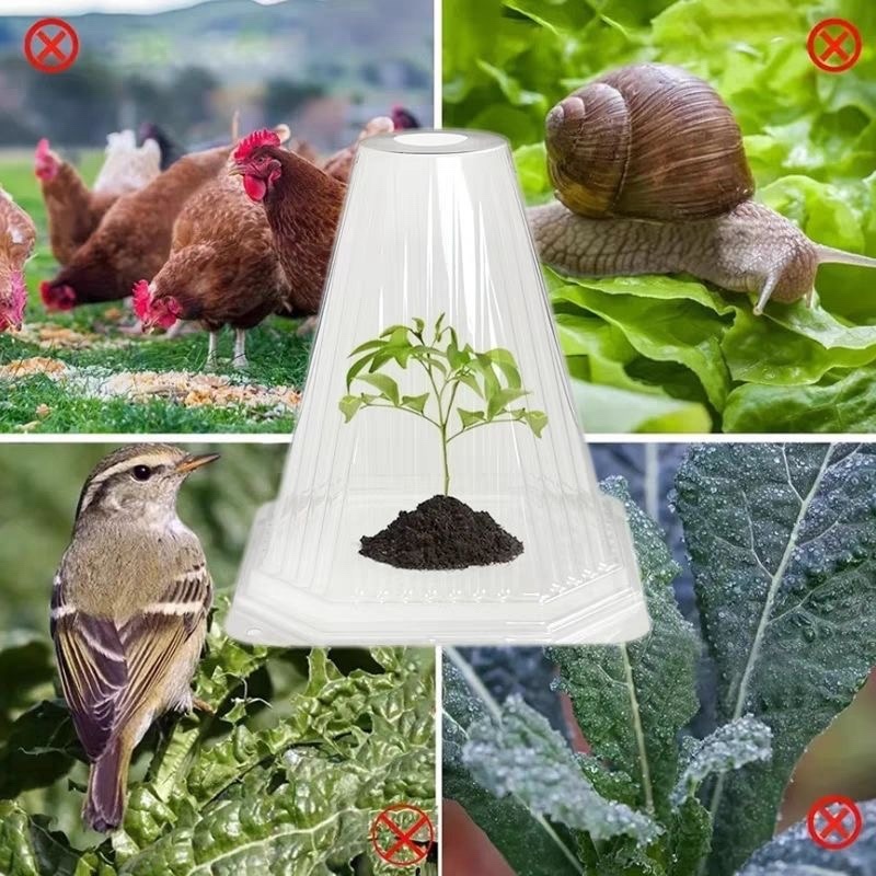 1000个装批发加大号加厚育苗保护罩户外蔬菜免受鸟虫