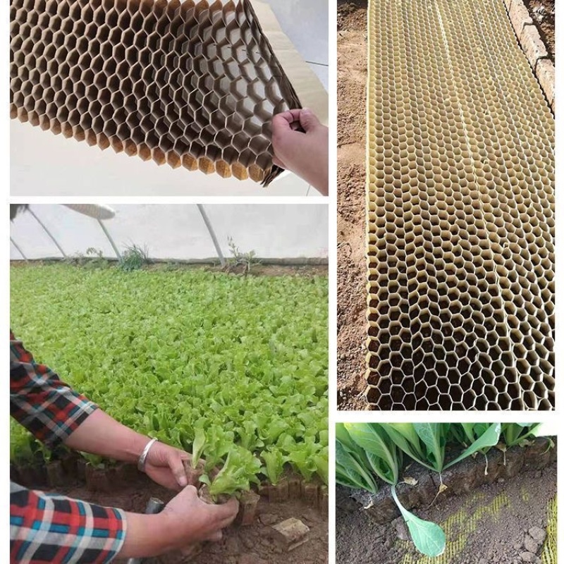 育苗袋蜂窝育苗袋塑料营养袋容器蜂巢种植