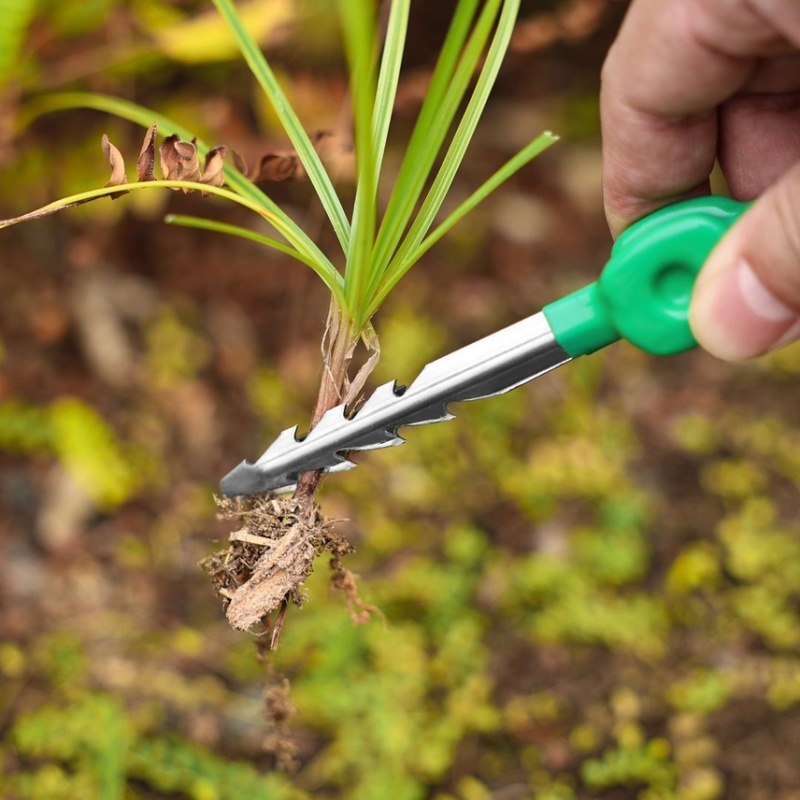 拔草夹子连根拔草器园艺工具镊子取物夹子拾物拔种花夹种