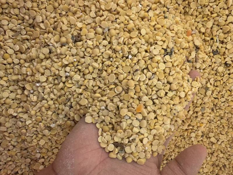 精品碎黄豆瓣上地施肥牛羊养殖均可使用