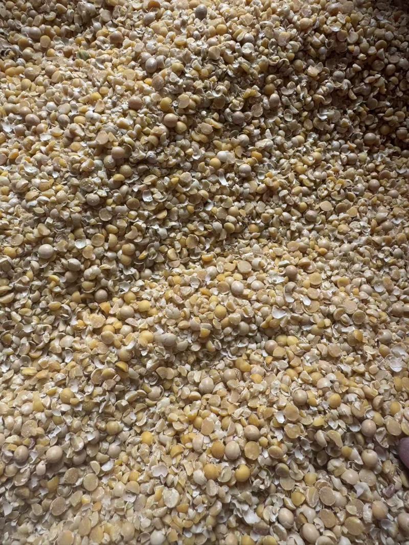 精品碎黄豆瓣上地施肥牛羊养殖均可使用