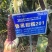 国审黑糯660鲁黑甜糯201玉米种子晋审玉甜加糯口感甜糯