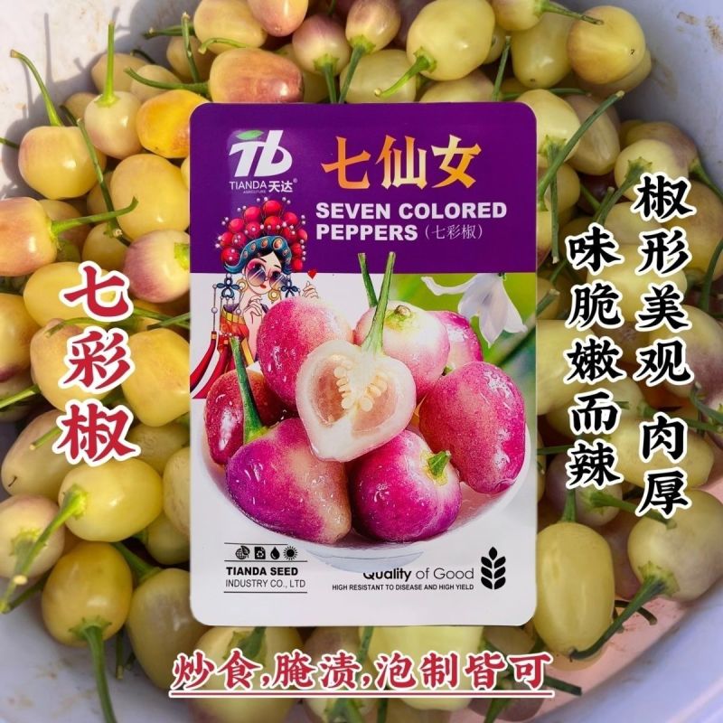 泡椒七彩椒种子七仙女彩椒种籽高产肉厚辣味浓香泡椒种子蔬菜
