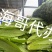 彭州油麦