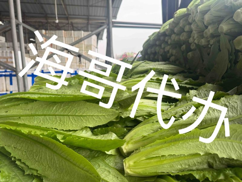 彭州油麦