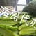 彭州油麦
