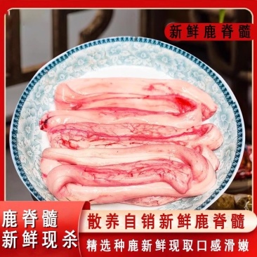 吉林鹿脊髓生脊髓骨髓新鲜脊髓鹿场直发一袋一斤