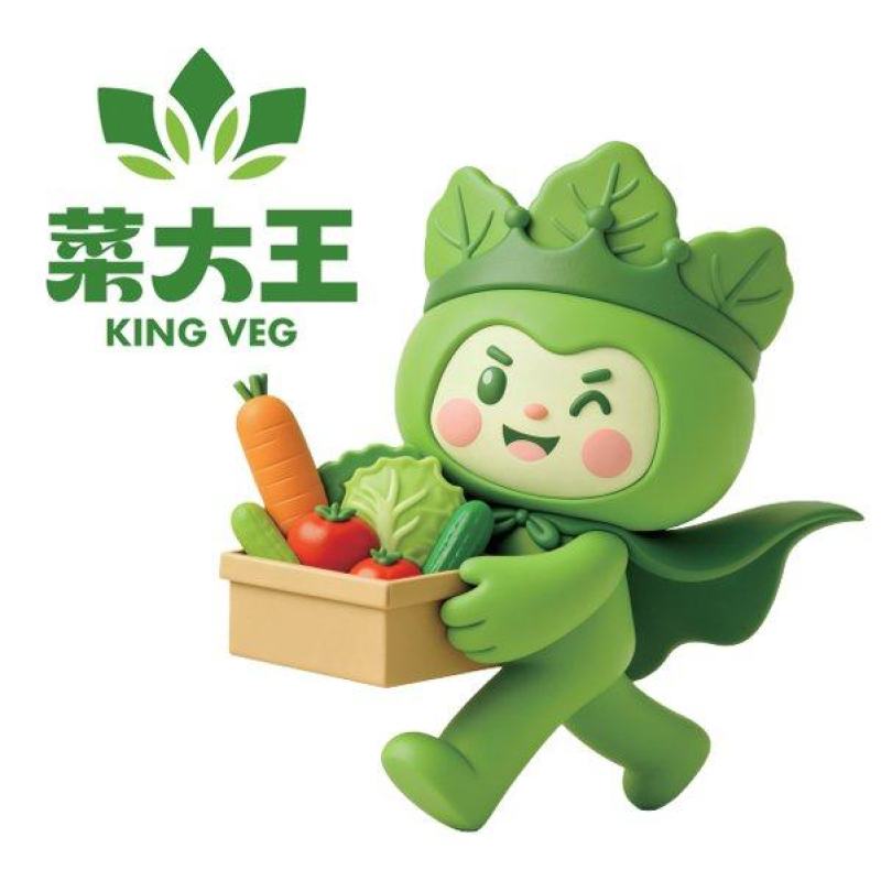吉林省菜大王供应链