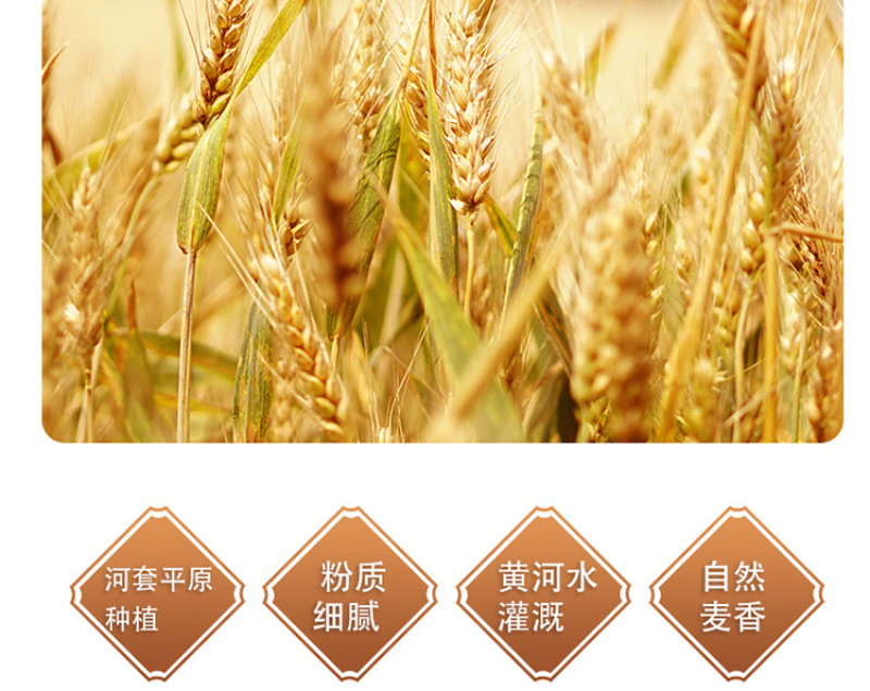 内蒙古巴彦淖尔河套平原雪花粉面粉中的佼佼***剂