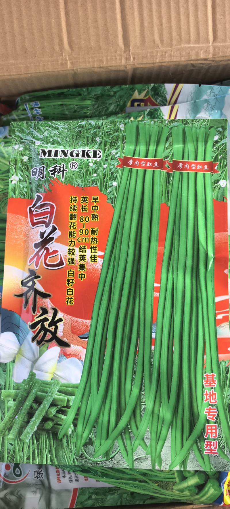 豇豆种子白花齐放翠绿色长豇豆早中熟持续翻花能力强