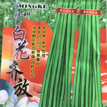 豇豆种子白花齐放翠绿色长豇豆早中熟持续翻花能力强