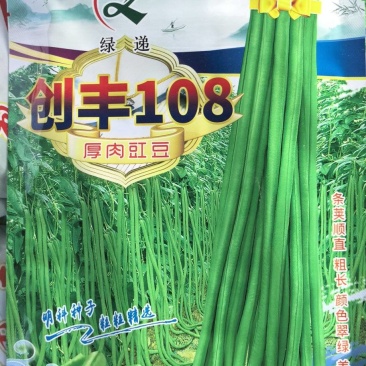 豇豆种子创丰108荚条顺直粗长翠绿美观早中熟较寒