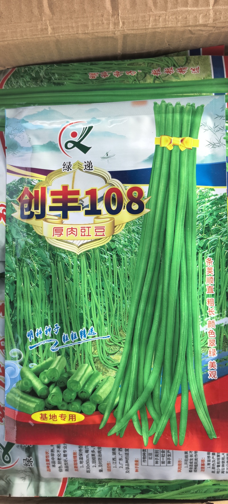 豇豆种子创丰108荚条顺直粗长翠绿美观早中熟较寒